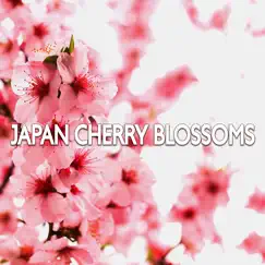 Japan Cherry Blossoms (Beautiful Meditation Music for Thai Massage & Spa, Asian Zen Reiki Tracks, Relaxing Music for Healing and Wellness) by Japanese Zen Shakuhachi, Asian Spa Experience & Relaxing Zen Music Therapy album reviews, ratings, credits