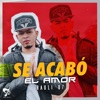 Se Acabo El Amor - Single