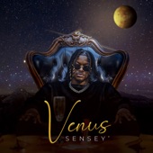 Vénus artwork