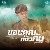 ขอบคุณที่ตั๋วกัน artwork