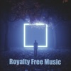 Royalty Free Music Background - Disco House (Royalty Free Music)