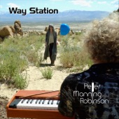 Peter Manning Robinson - Way Station