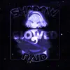 SHADOW RAID (slowed) - Single album lyrics, reviews, download