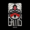 Gallos - Pelea De Gallos