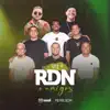 RDN & Amigos, Vol. 4 (feat. Suel & Ferrugem) album lyrics, reviews, download