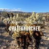 Chattahoochee - Single