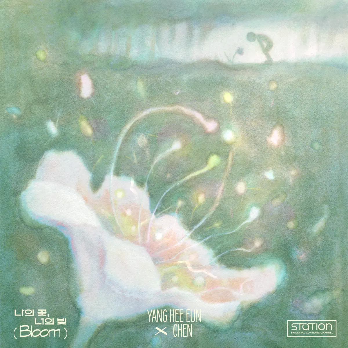 楊姬銀 & CHEN - 我的花, 妳的光 Bloom - SM STATION - Single (2023) [iTunes Plus AAC M4A]-新房子