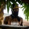 How It Goes (feat. Rx Peso & OZ) - Wu Crazyy lyrics
