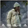 Amaia - Single album lyrics, reviews, download