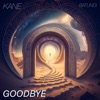 Goodbye - Single