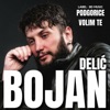 Podgorice, Volim Te - Single