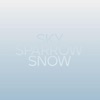 Sky Sparrow Snow