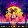 Love Is What We Need - Single