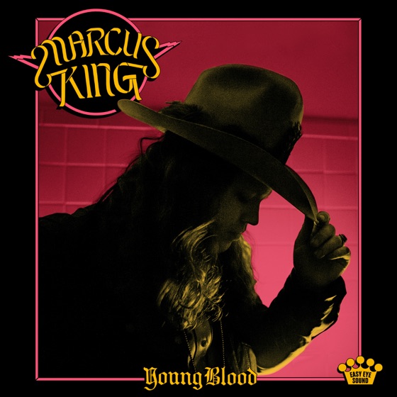 Cover artwork for Lie Lie Lie