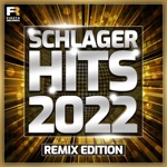 Sternenfeuer in der Nacht