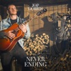 Never Ending - Single