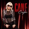 Cane - Single