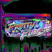 PRETTY PLEASE artwork