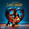 I Ain't Hurtin - Single