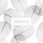 Breeze - Aerial Love