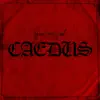 Caedus - EP album lyrics, reviews, download