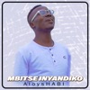 Mbitse Inyandiko - Single