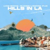 Hills in LA - Single