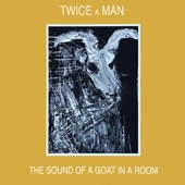 The Sound of a Goat In a Room artwork
