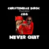 Never Quit (feat. JAG) - Single album lyrics, reviews, download