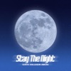 Stay the Night - Single