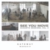 See You Move: Acoustic Sessions, Vol. 2, 2020