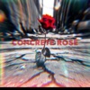 Concrete Rose