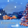 Everything I Want - Single