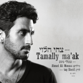 Tamaly Maak - צחי הלוי