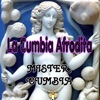 La Cumbia Afrodita - Single