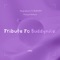 Tribute To Buddynice - BusyExplore, Djbursary & Muziique Ndxhsoul lyrics