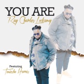 You Are (feat. Toneisha Harris) artwork