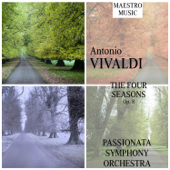 Vivaldi: The Four Seasons - Passionata Symphony Orchestra
