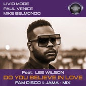 Do You Believe in Love (feat. lee wilson) [Fam Disco & Jama Remix] artwork