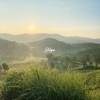 Hope - Single