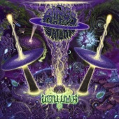 Rings of Saturn - The Macrocosm