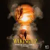 Waking Up (feat. Maikki) - Single album lyrics, reviews, download