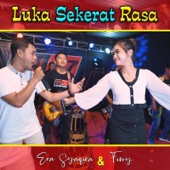 Luka Sekerat Rasa (feat. Fery) artwork