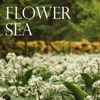 Flower Sea