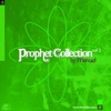 Prophet Collection, Vol. 2 (Divine World Vibrations)