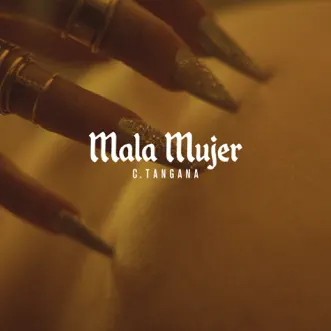 Mala Mujer - Single by C. Tangana album reviews, ratings, credits