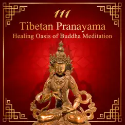 111 Tibetan Pranayama: Healing Oasis of Buddha Meditation – Hypnotic Zen Music for Calm Mind, Balance with Pure Nature Sounds, Inner Silence, Relaxation & Mindfulness by Various Artists album reviews, ratings, credits
