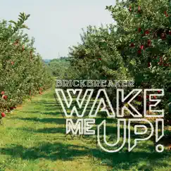 Wake Me Up - Single by Brickbreaker album reviews, ratings, credits