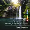 Natural Sounds for Chakras album lyrics, reviews, download