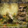 Tales of Dub and Techno, Vol. 13